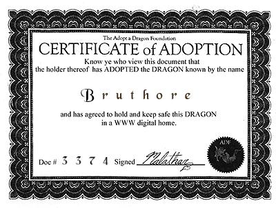 My Adoption Papers